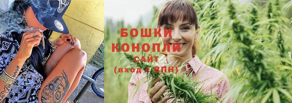 мдпв Богородск