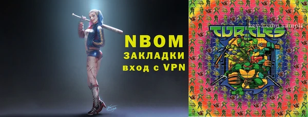 мдпв Богородск