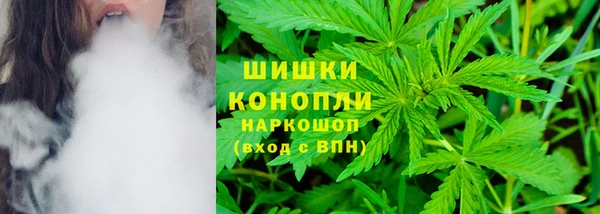 СК Богородицк